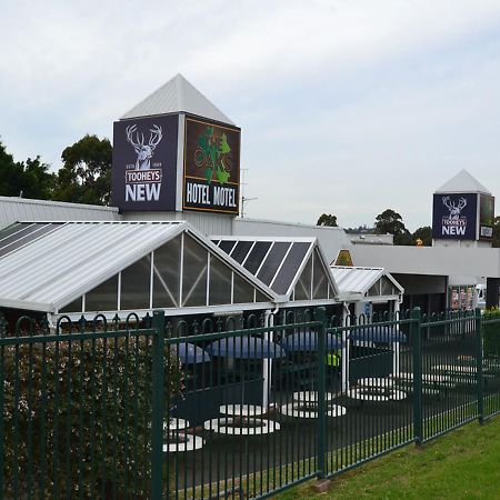 The Oaks Hotel Motel Albion Park Luaran gambar